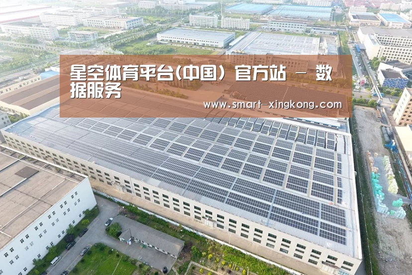 案例展示二