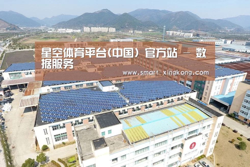 案例展示二
