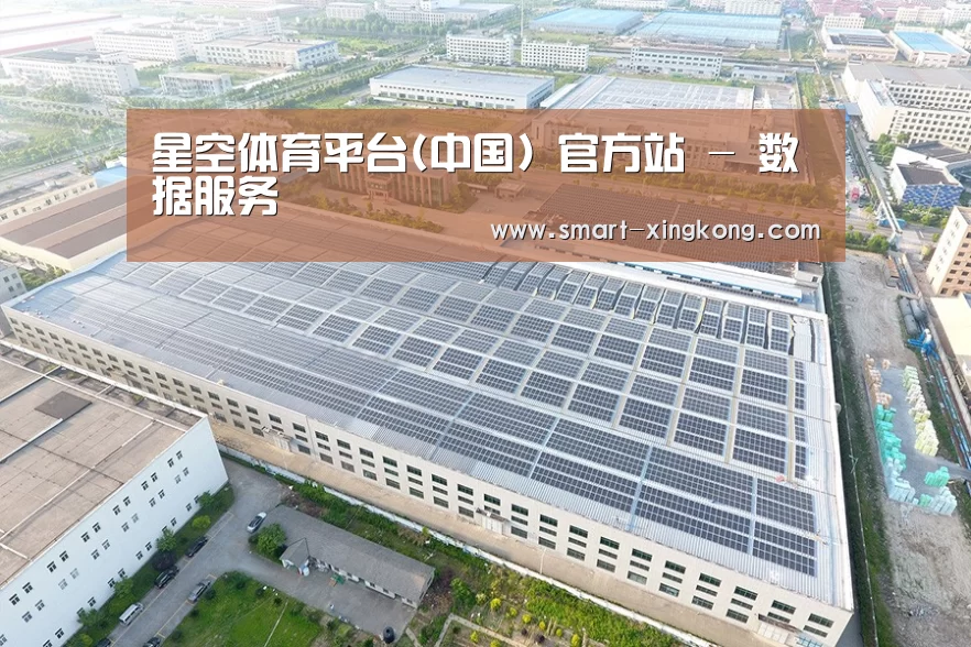 案例展示三