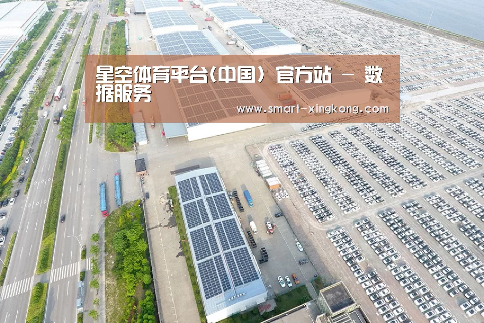 案例展示一
