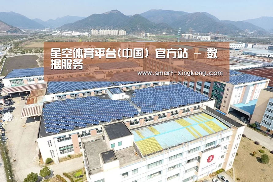 案例展示三