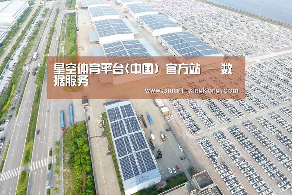 案例展示四