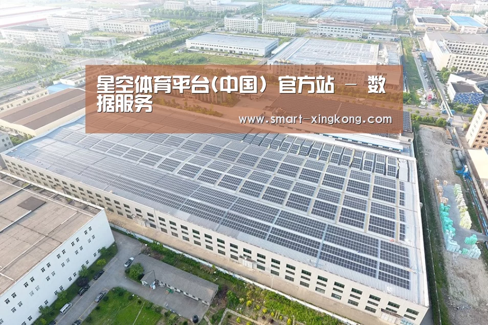 案例展示四