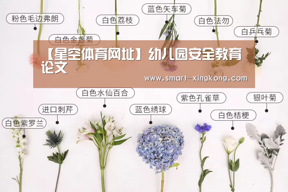 星空体育