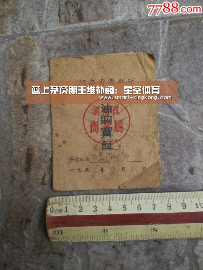 蓝上茅茨期王维补阙：星空体育