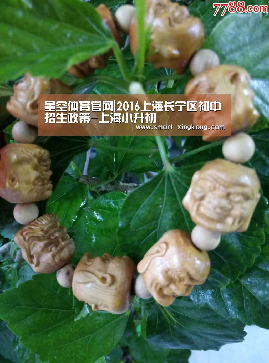 星空体育官网